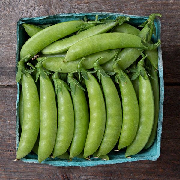 Snap Pea (Sweet Gem) Plants - 6 pk